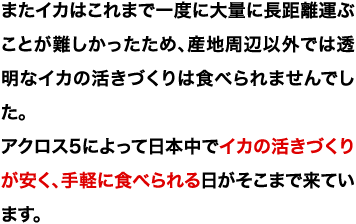 またイカはこれまで一度に大量に長距離運ぶことが難しかったため、産地周辺以外では透明なイカの活きづくりは食べられませんでした。アクロス5によって日本中でイカの活きづくりが安く、手軽に食べられる日がそこまで来ています。