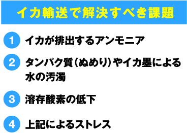 イカが排出するアンモニア・タンパク質(ぬめり)やイカ墨による水の汚濁・溶存酸素の低下・イカのストレス