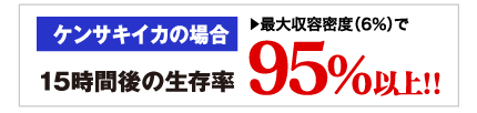 生存率95%以上。ケンサキイカの場合
